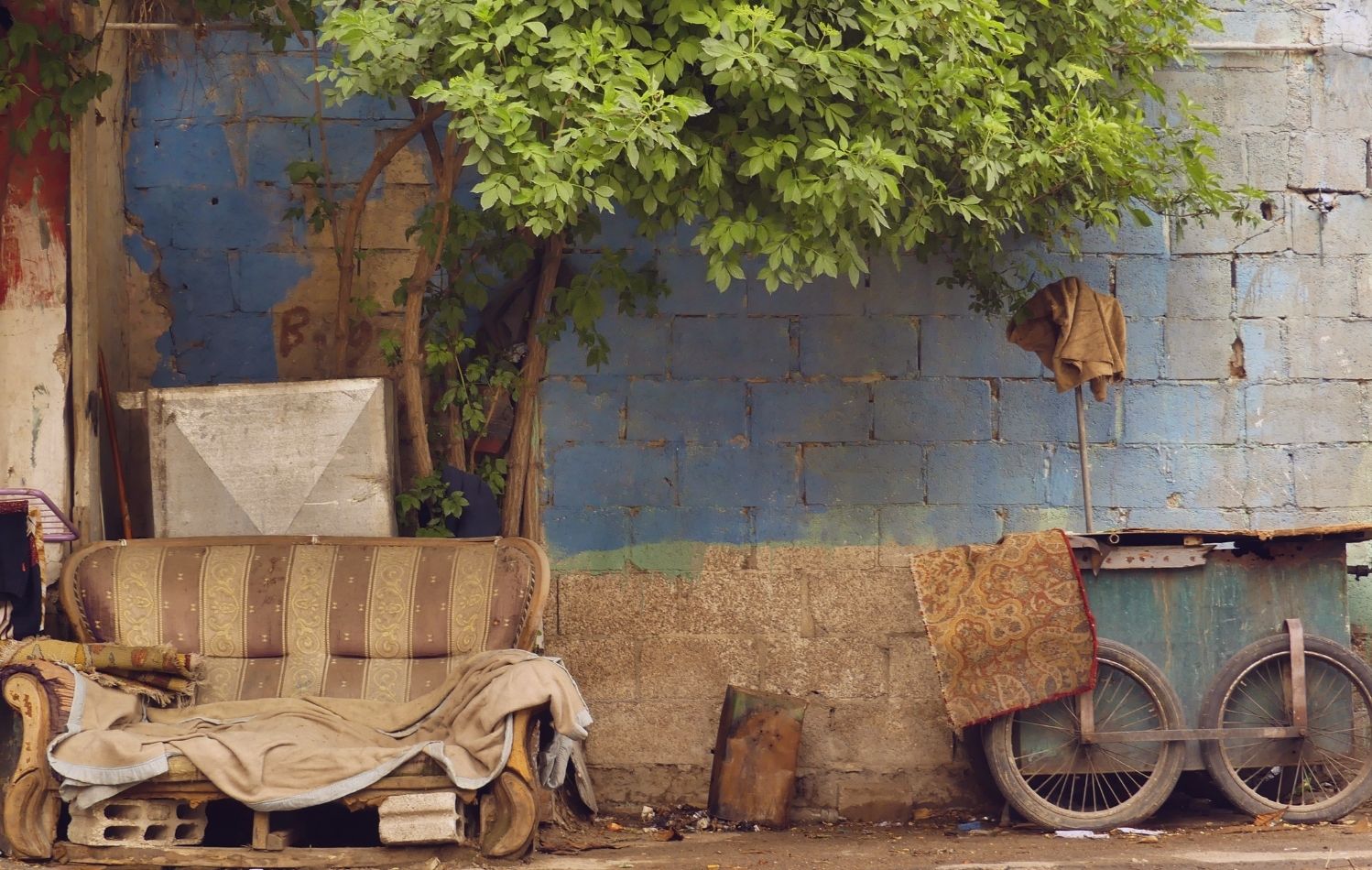 قصيدة شآم المحبة